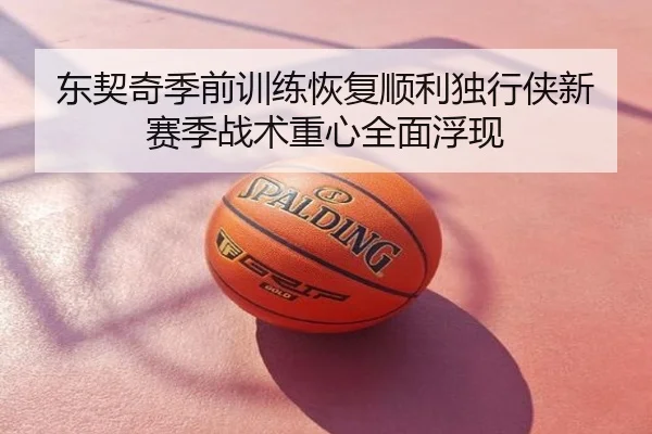 东契奇季前训练恢复顺利独行侠新赛季战术重心全面浮现