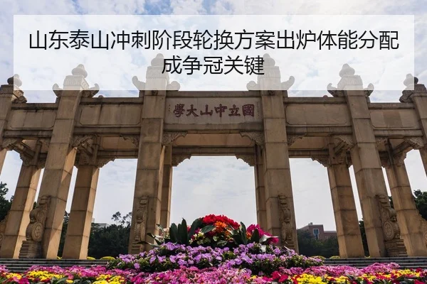 山东泰山冲刺阶段轮换方案出炉体能分配成争冠关键